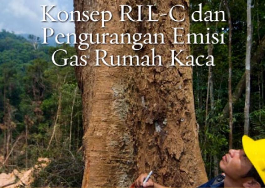 Pendekatan RIL-C Mampu Mengurangi 50 persen lebih Emisi dibanding Penebangan Konvensional