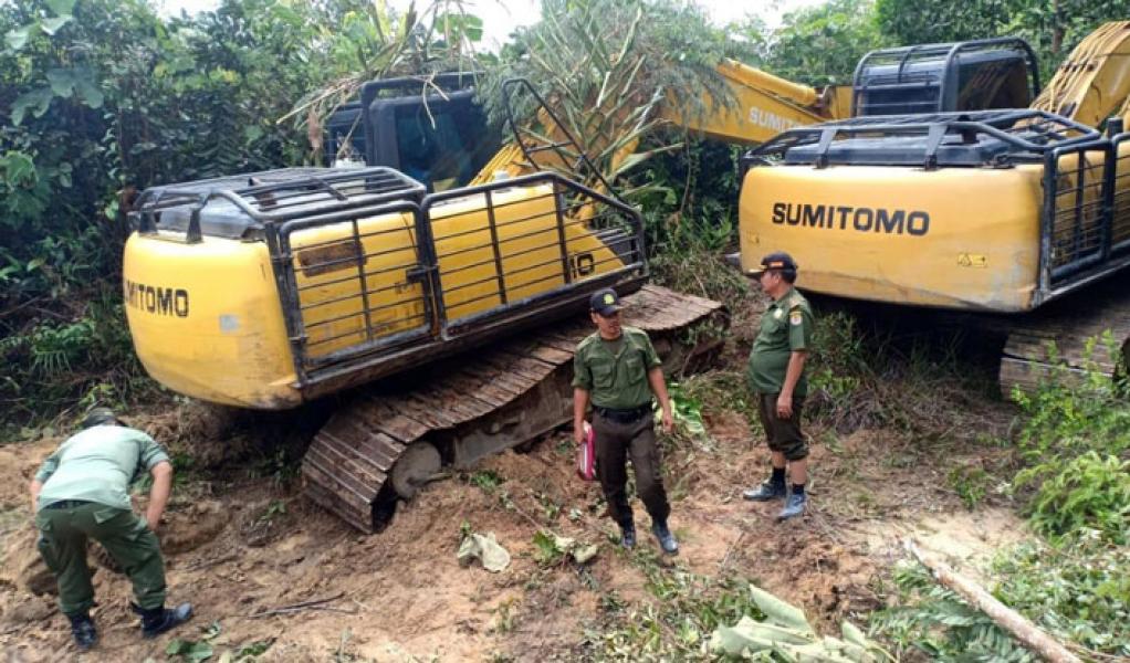 DLHK Riau Masuk Angin, Balai Gakkum LHK Wilayah Sumatera akan Turunkan Tim 