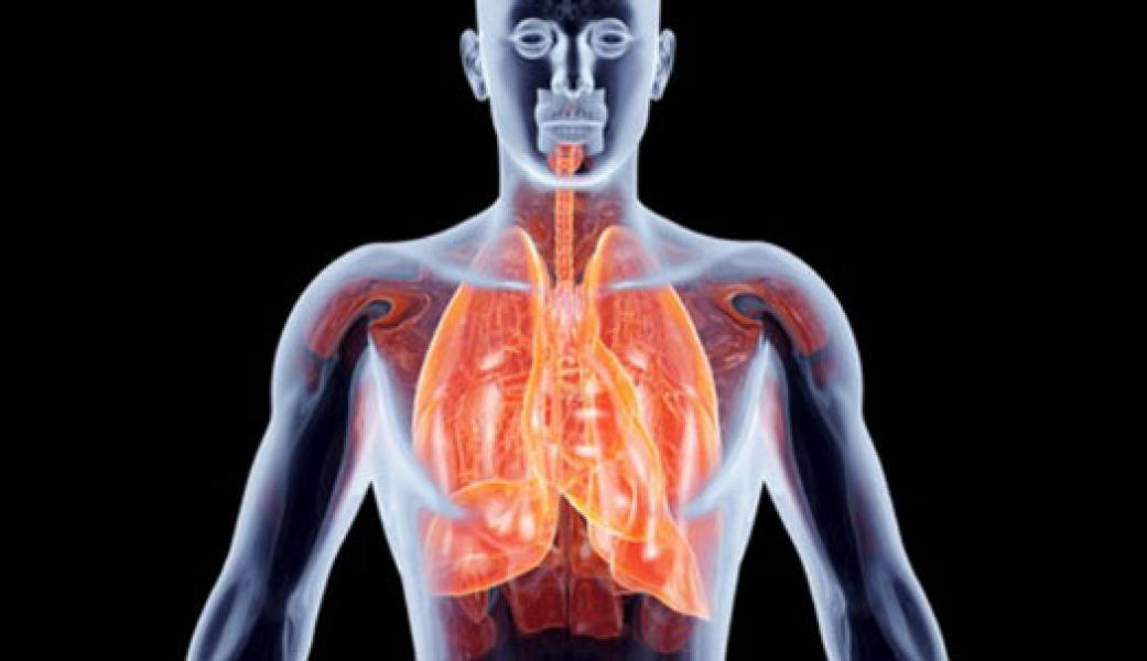 4 Kebiasaan Perusak Paru-Paru