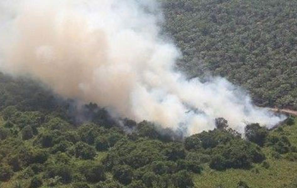 BMKG Deteksi 204 Hotspot Pagi, 33 Ada di Riau