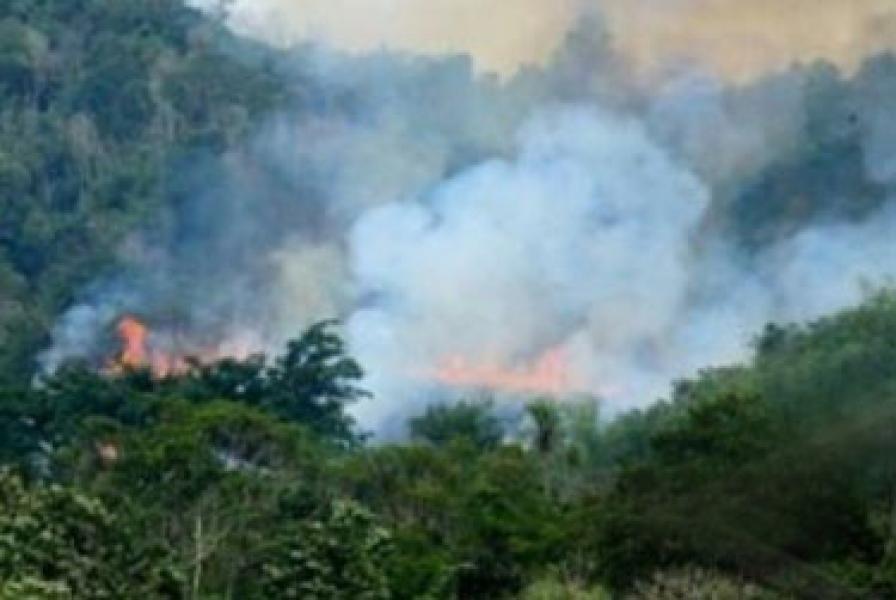 BMKG Deteksi 210 Hotspot di Sumatera 75 Titik Diantaranya di Riau