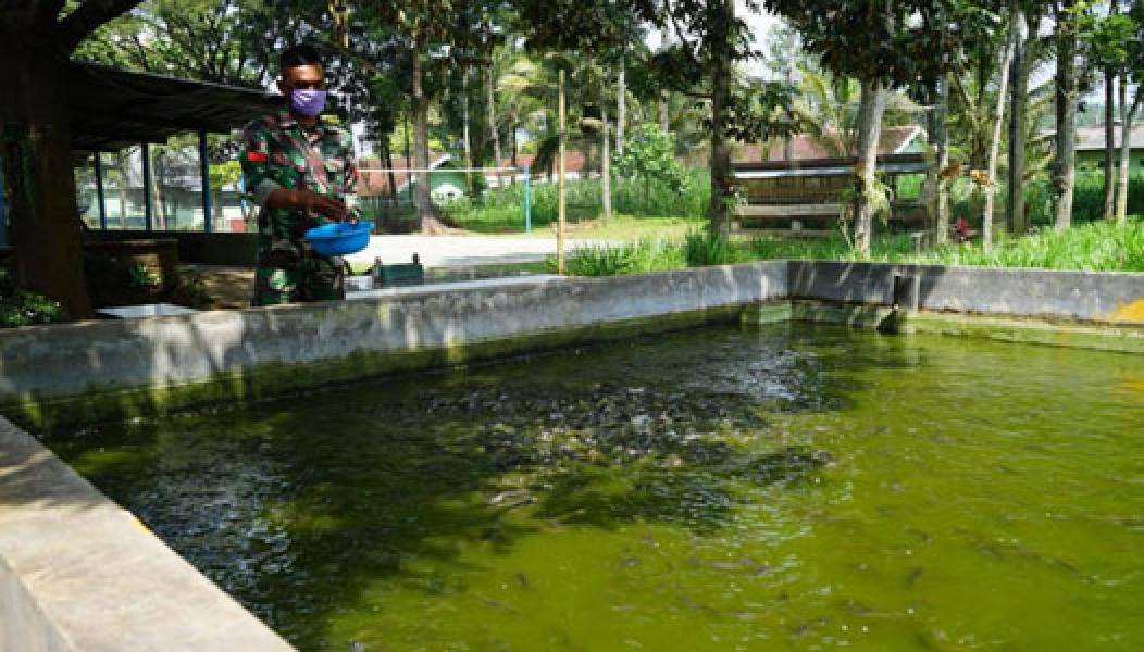 Brigif Para Raider 18/Divif 2 Kostrad Kembangkan Budidaya Perikanan