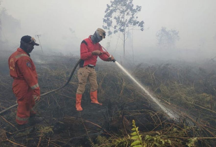 Luas Lahan Terbakar Riau Hingga 1 April Mencapai 996,58 Hektare
