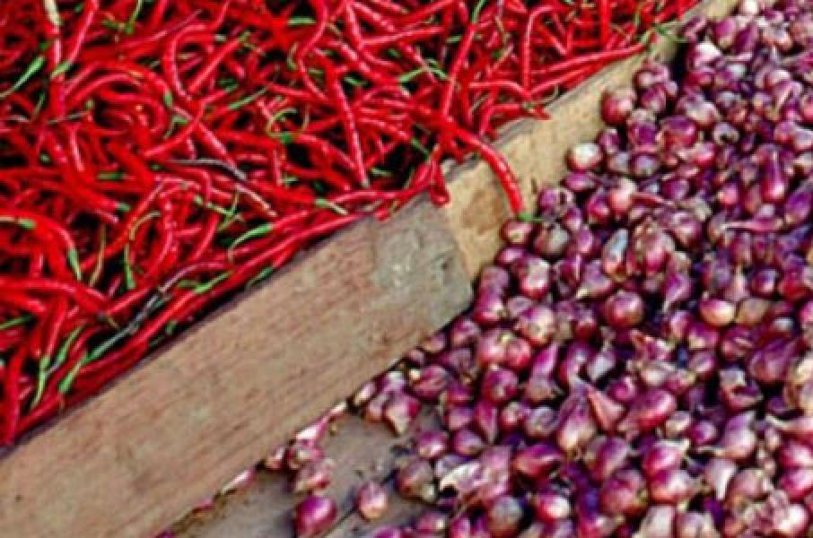 Menyusul Gula, Harga Cabe dan Bawang merah Naik Nyaris 2 Kali Lipat di Pelalawan 