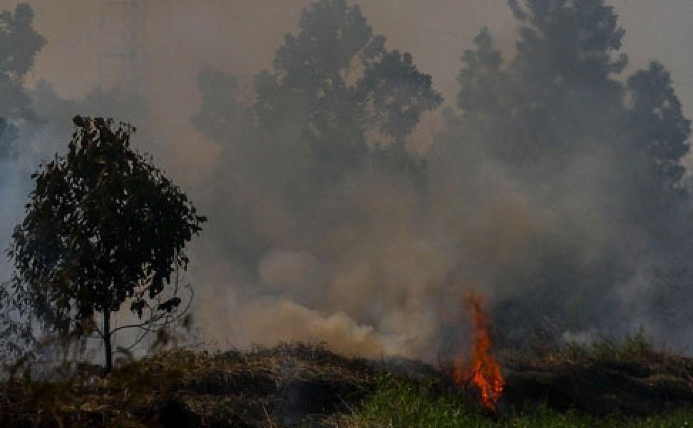 Sebanyak 269 Hotspot di Sumatera, 130 Diantaranya ada di Riau