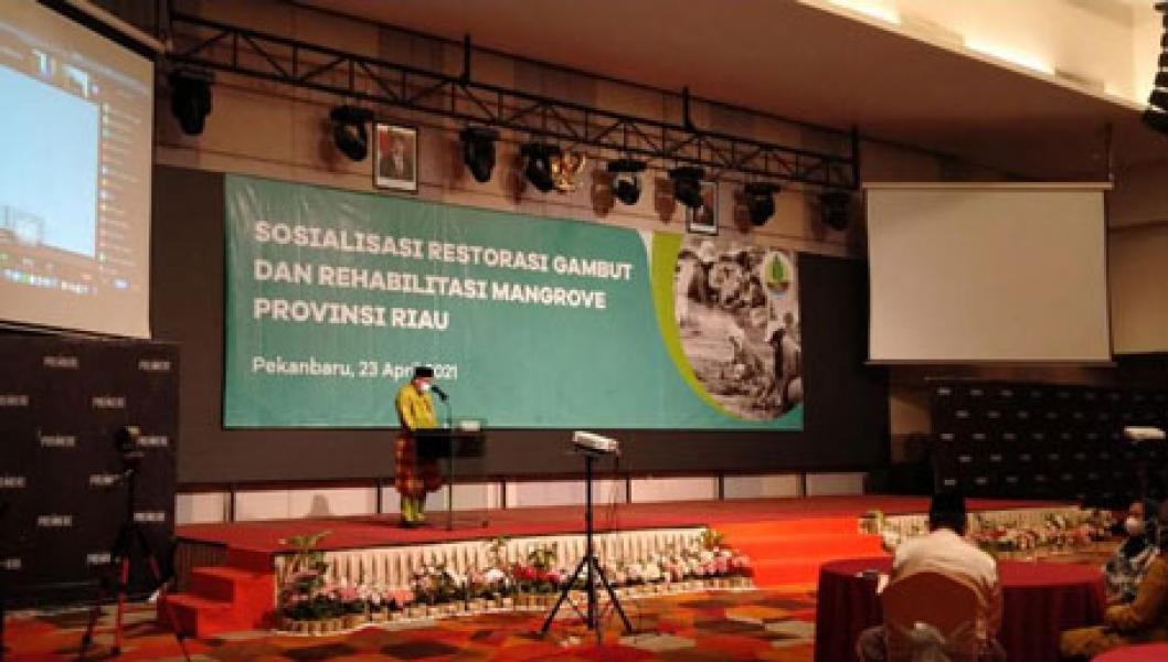 Gubri Hadiri Sosialisasi Restorasi Gambut dan Rehabilitasi Mangrove yang Ditaja BRGM