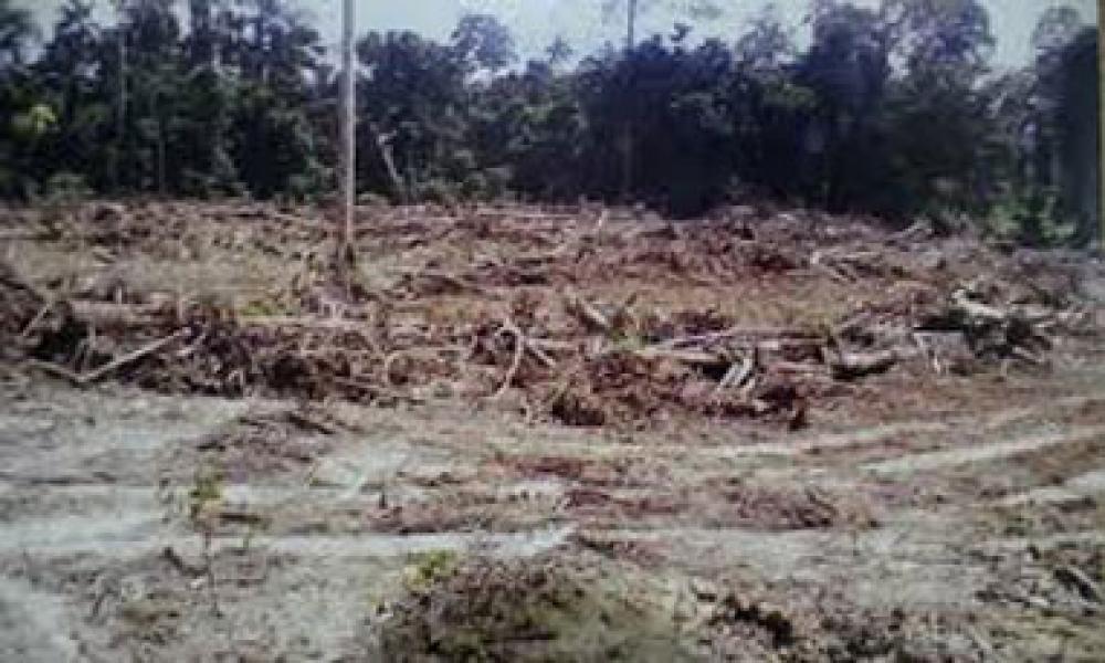 Aliansi Poktan Pribumi Batang Cenaku Sampaikan Tuntutan ke DPRD Inhu