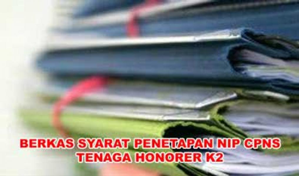 BKD Minta Perpanjangan Waktu Pemberkasan NIP CPNS Honorer K2