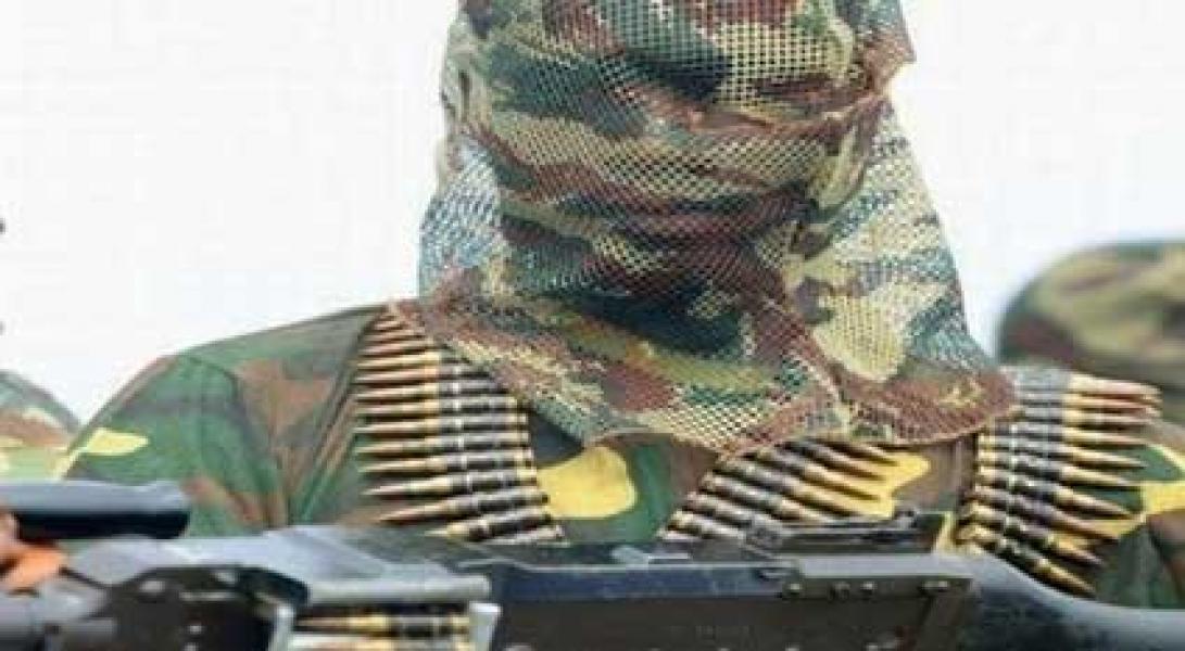 Boko Haram Culik 100 Siswi
