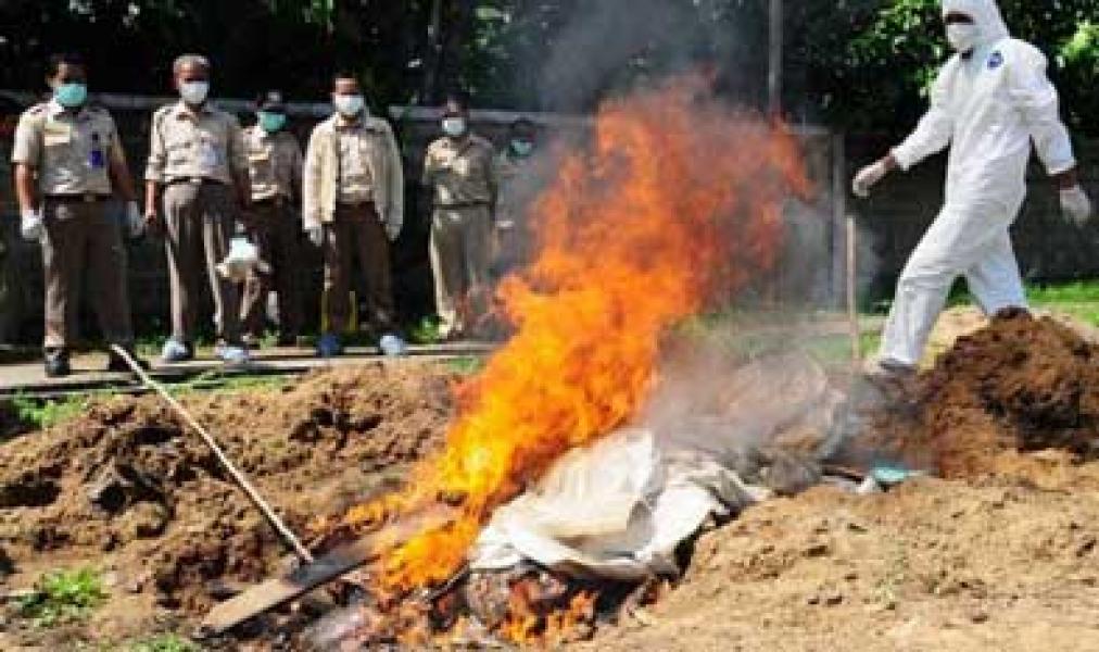 Daging Celeng Beredar, Warga Resah