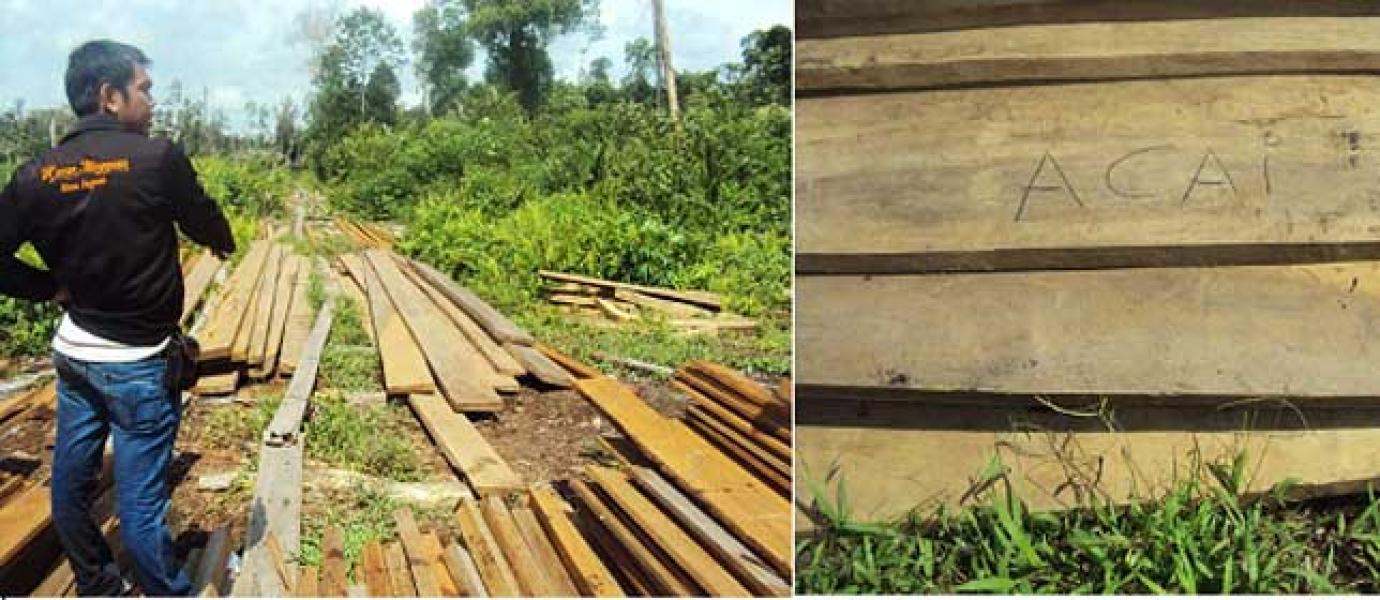 Disebut Penadah Kayu Illog, Ah Chai Ancam Buka-bukaan