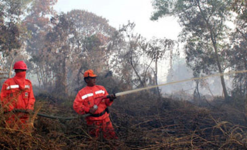 Dishut Riau Kirim Tim ke 4 Titik Rawan Karhutla