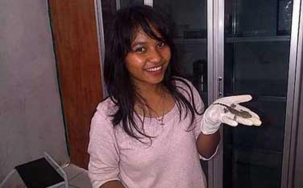 Heboh, Seorang Ibu Lahirkan Anak Tokek
