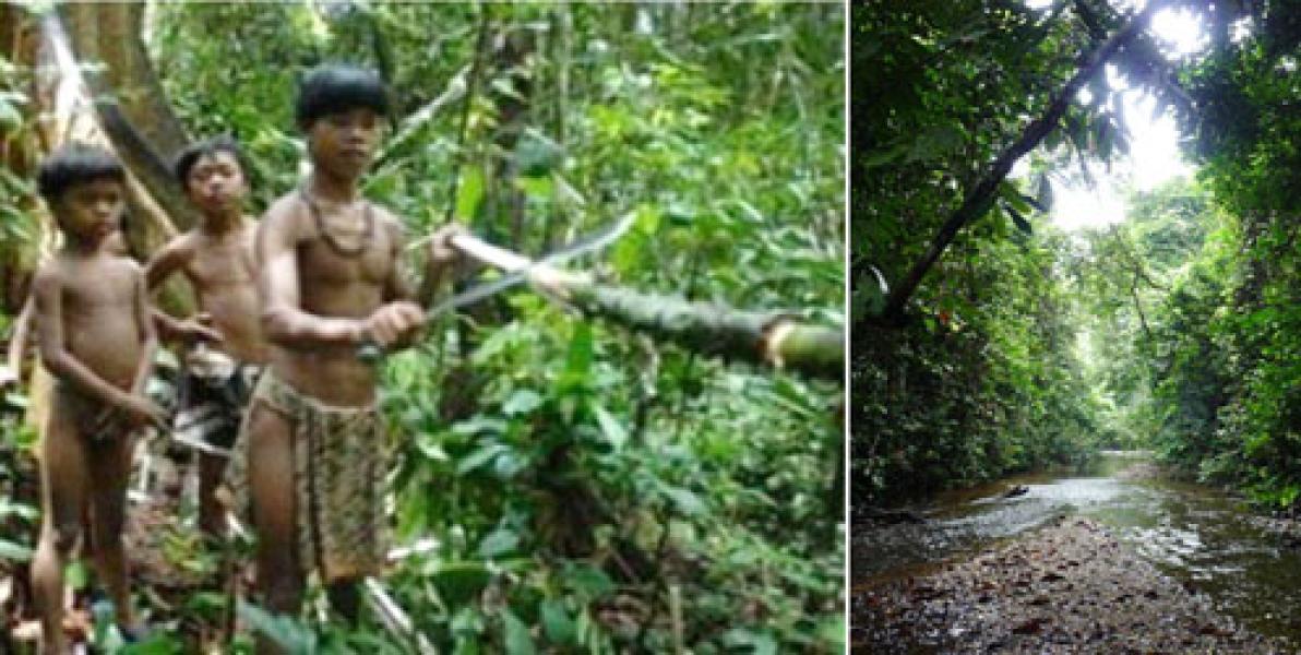 Impian Terakhir Suku Anak Dalam