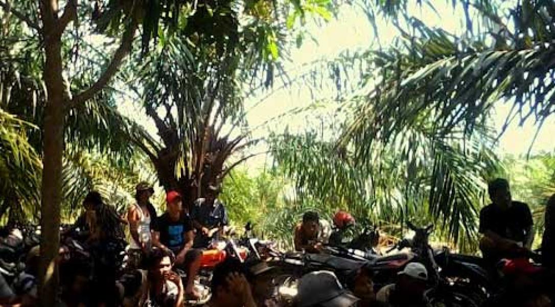 LAMR Kampar Minta Polisi Segera Selesaikan Sengketa PSPI dan PTPN V