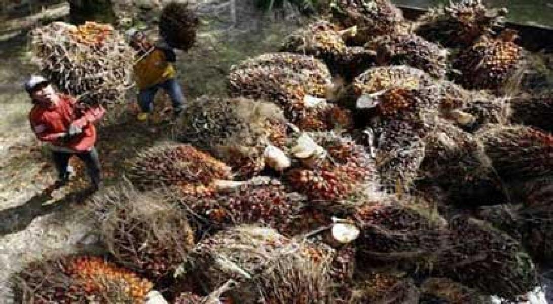 Lawan Kampanye Hitam Produk RI di Eropa