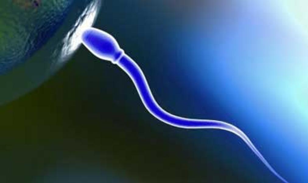 Perbedaan Mani, Madzi dan Wadi (1)