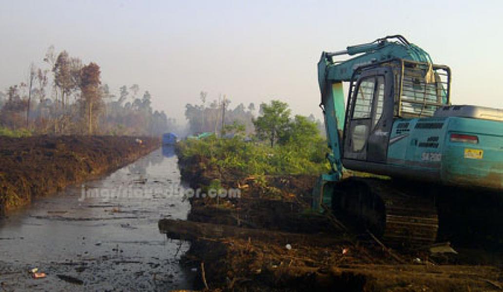 RAPP Langgar Sustainable Forest Manajement Policy di Meranti