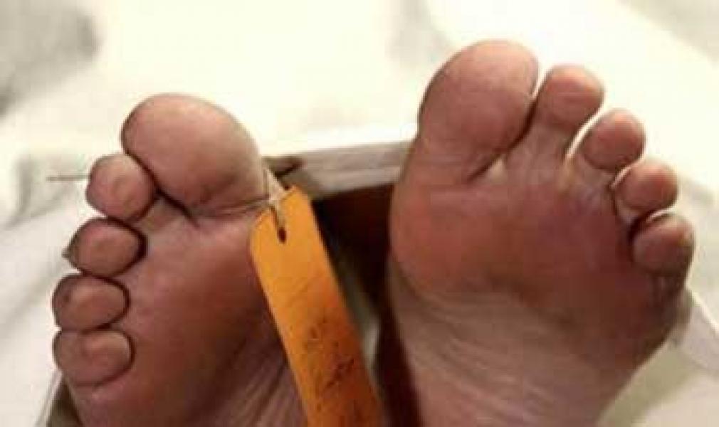 Suporter Tewas Dilempar Wadah Toilet di Brasil