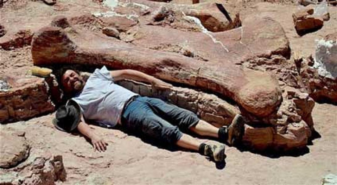 Titanosaur, Hewan Purba Terbesar di Dunia