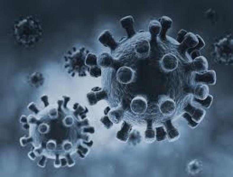 Virus Mers Belum Ditemukan di Siak