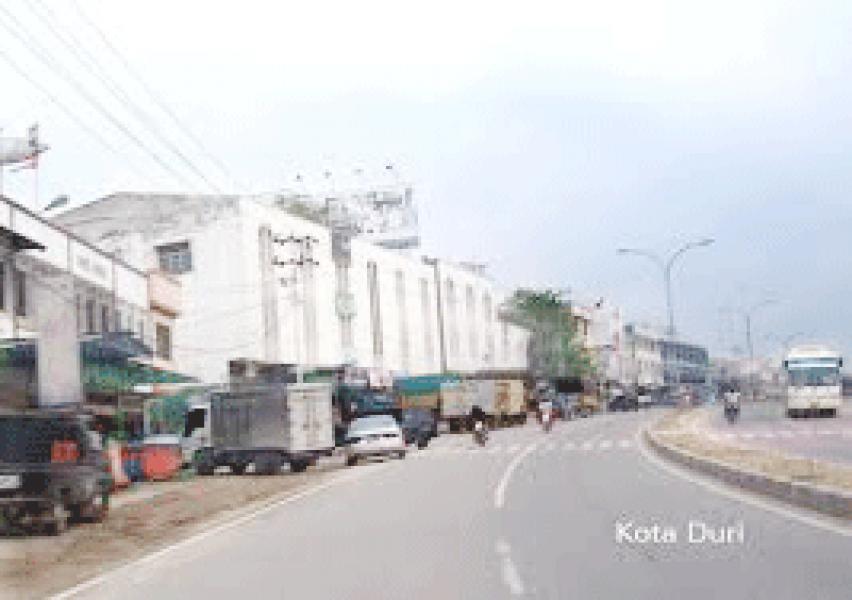 Bupati Bengkalis Hadiri Dua Kegiatan di Duri