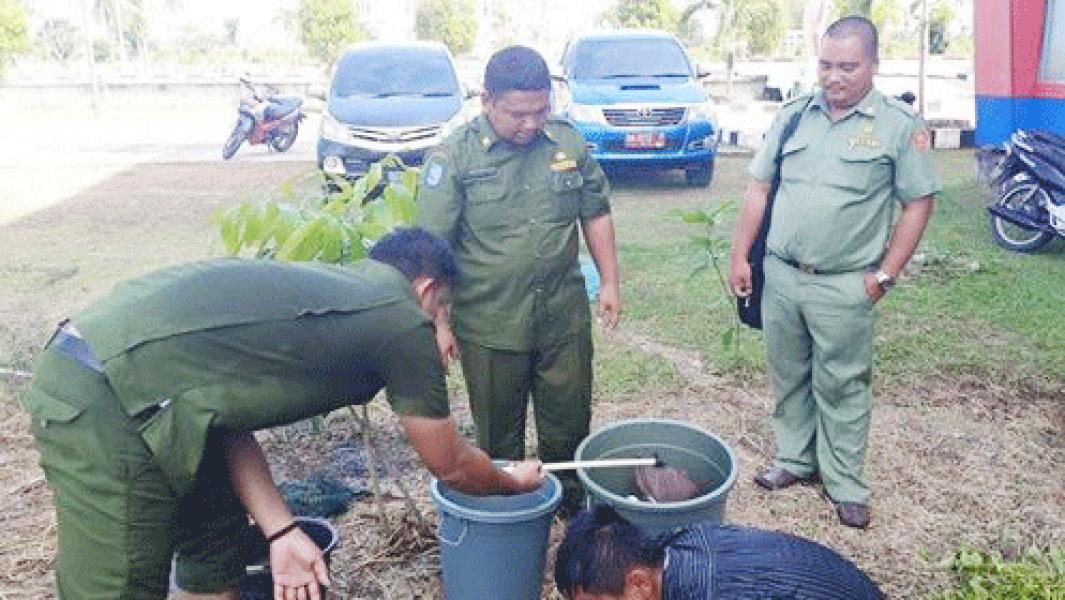 Diskanlut Dukung Masyarakat Budayakan Ikan Lokal 