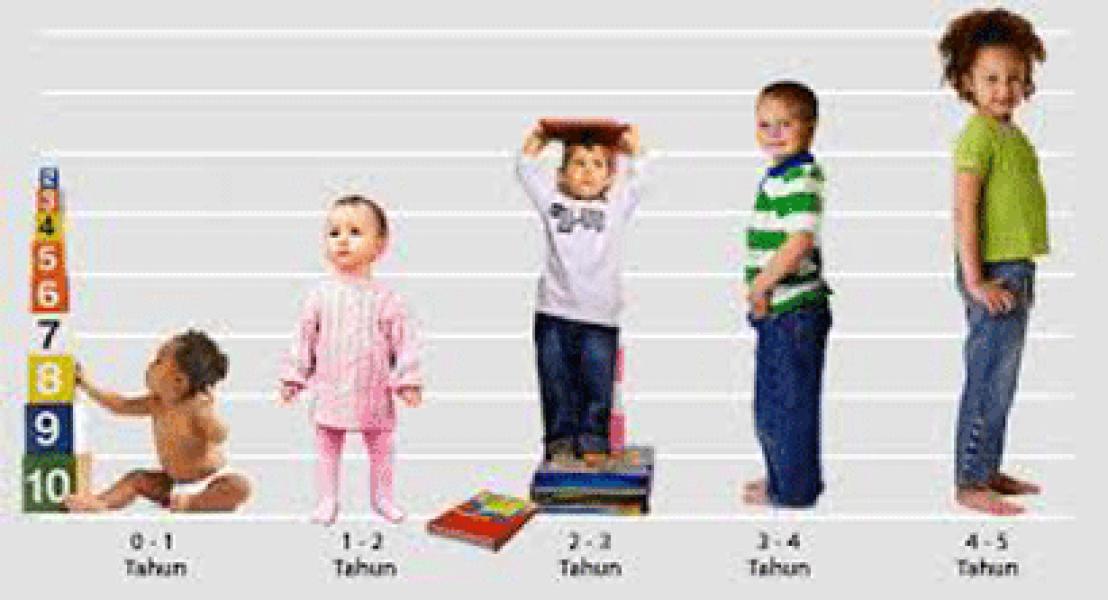 Diskes Riau dan Diskes Meranti Sosialisasikan SDI TK