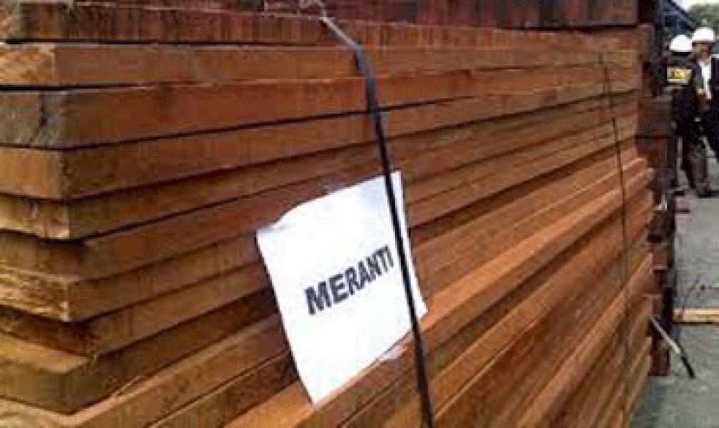 Dushutbun Beri Pembinaan Verifikasi Legalitas Kayu Industri Meranti