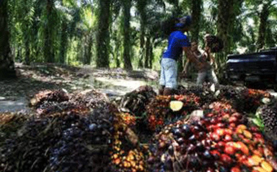 Hanya Rugi Rp196 Ribu, PT TPP Lapor Polisi