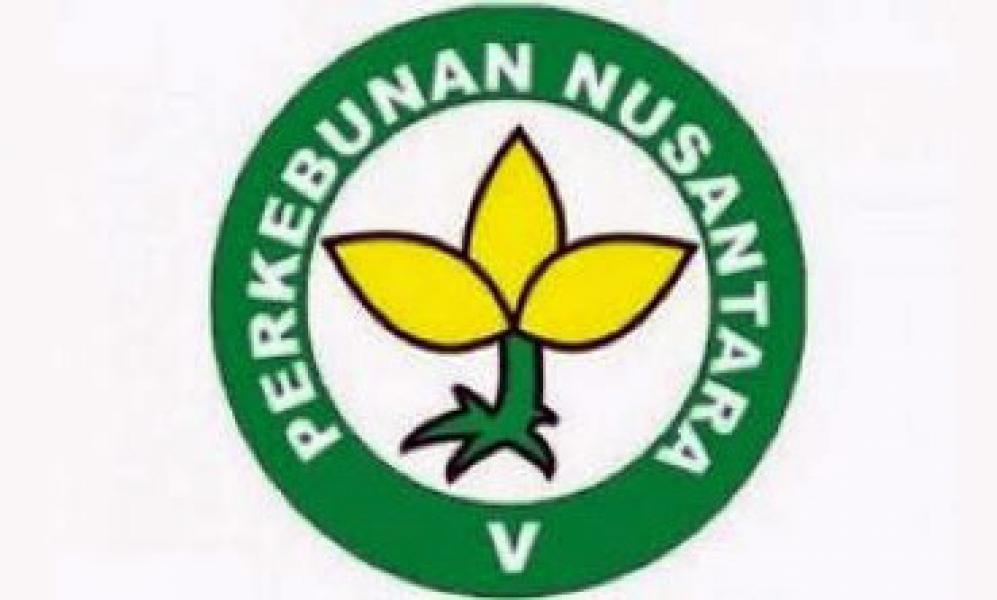 Kadisosnakertrans Rohul Diduga Kongkalikong dengan PTPN V SBL