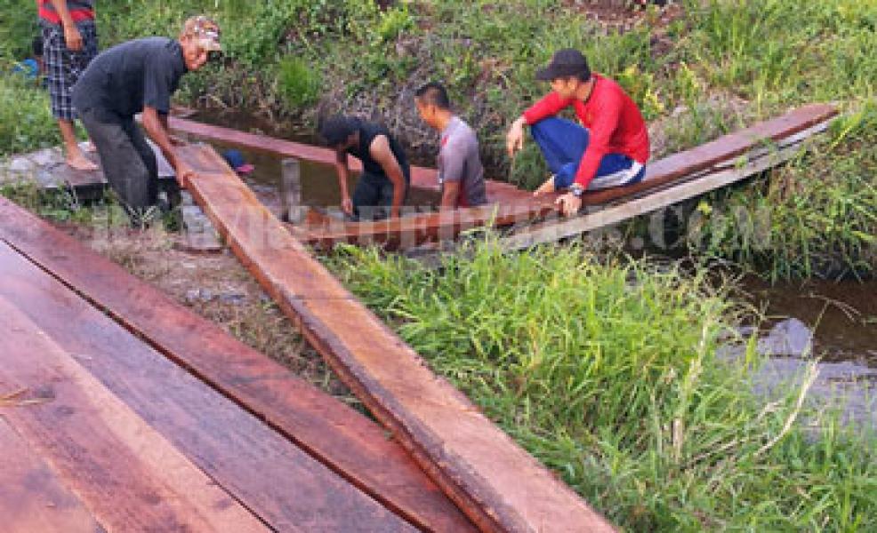 Kembali, Satpolair Rohil Amankan Ratusan Keping Kayu Olahan