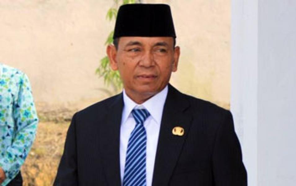 Kementrian Tunjuk Bupati Pelalawan Jadi Pembicara Workshop