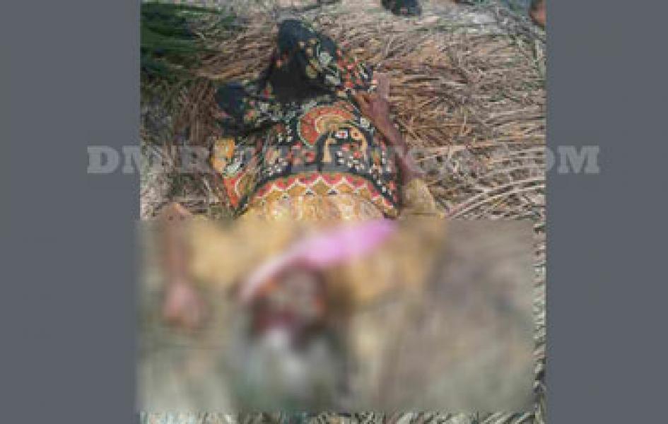 Mayat Wanita Tua Ditemukan Membusuk Dikebun Sawit