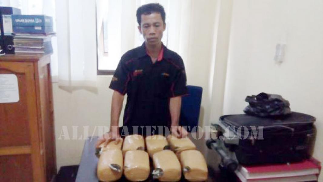 Pemilik 8 Kg Daun Ganja Diamankan Polres Inhu