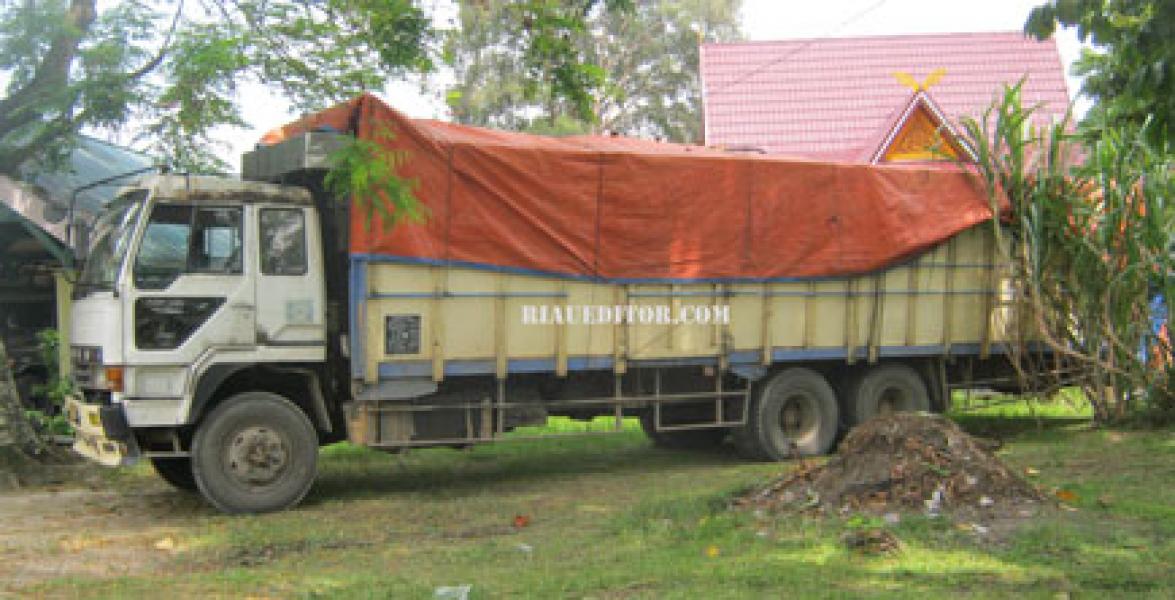 Polhut Riau Amankan Truck Bermuatan Kayu Log