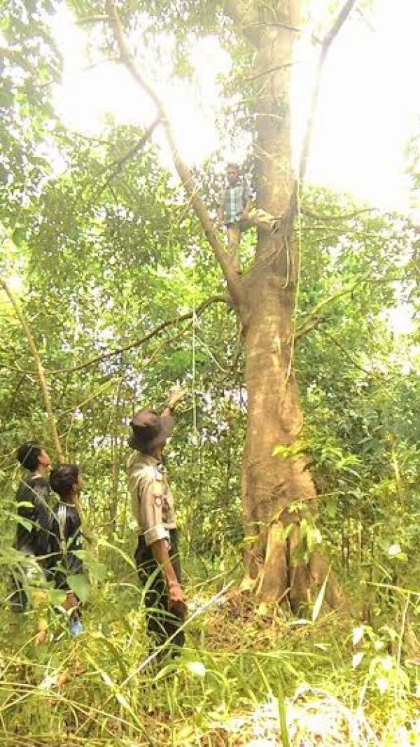  Anggota Bhabinkantibmas Polres Pelalawan Gagalkan Aksi Bunuh Diri Melompat Dari Pohon