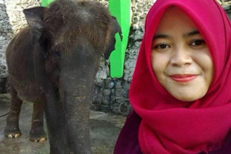 Dokter Cantik Tewas Bukan karena Terinjak tapi Tertusuk Gading Gajah