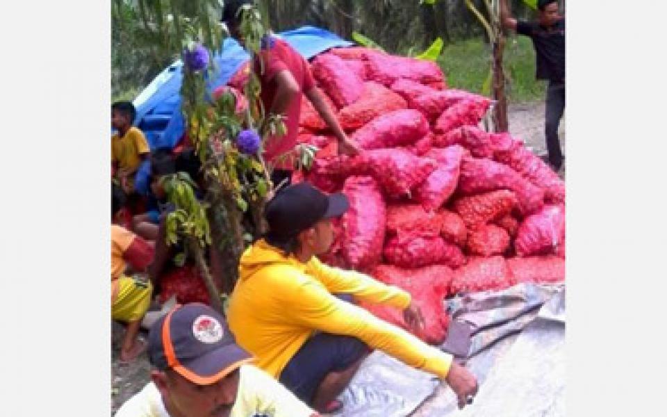 Kodim 0321 Rohil Amankan 1100 Karung Bawang Ilegal