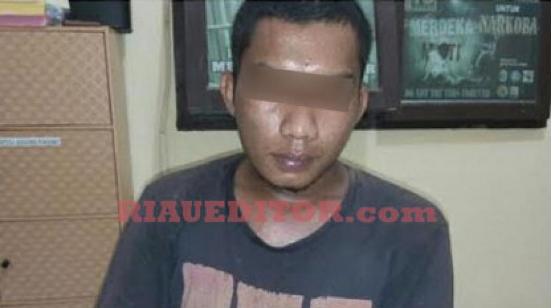 Polres Rohul Bekuk Bandar Sabu Berikut BB Seberat 8,40 Gram