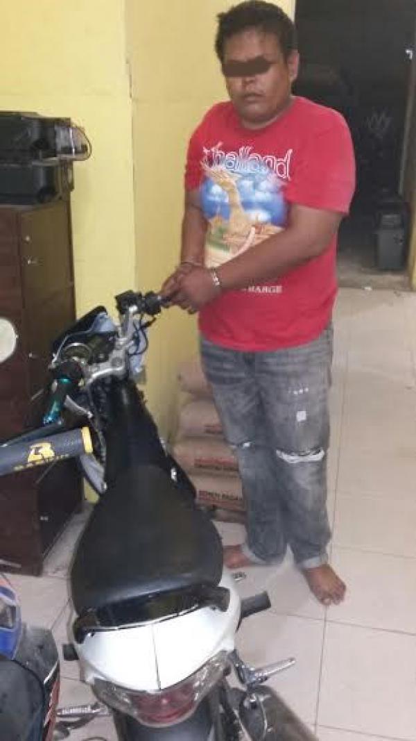 Polsek Tenayan Raya Bekuk Pelaku Curanmor