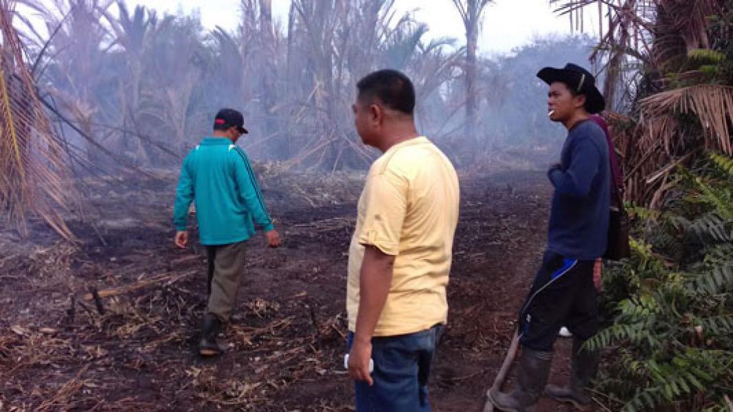 Pulau Padang Kembali Dilanda Karhutla, RAPP diduga Pemicu