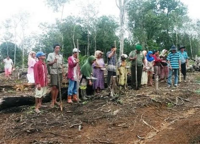 Babinsa Koramil 02 Rambah Pendampingan Petani Tanam Kedele  