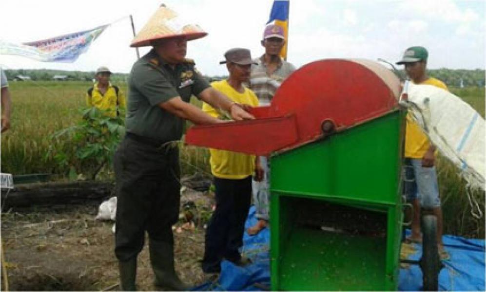 Danramil 03/Bgs Bersama Poktan Sinembah Jaya Abadi Panen Raya Padi Perdana