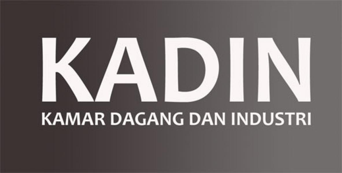 Pelantikan Pengurus KADIN Rohil Akan Digelar Kamis lusa