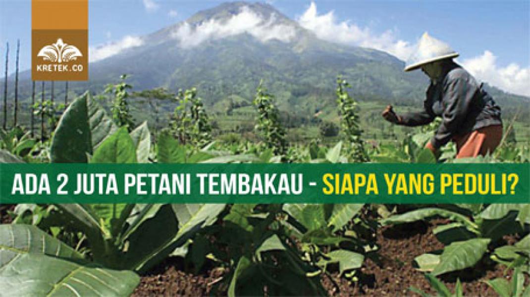 Pemerintah Harus Lindungi Tembakau Lokal