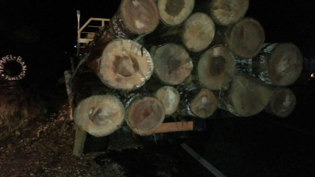 Polsek Sengingi Hilir Tangkap Dua Truck Bemuatan Kayu Illegal Logging