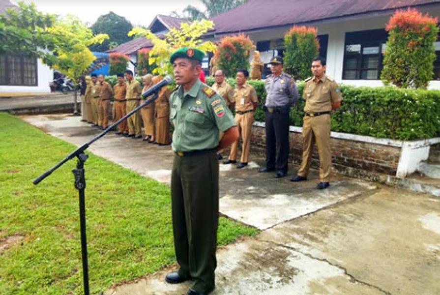 Apel Gabungan Tingkat Kecamatan Rambah Samo, Ini Kata Danramil 02 Rambah