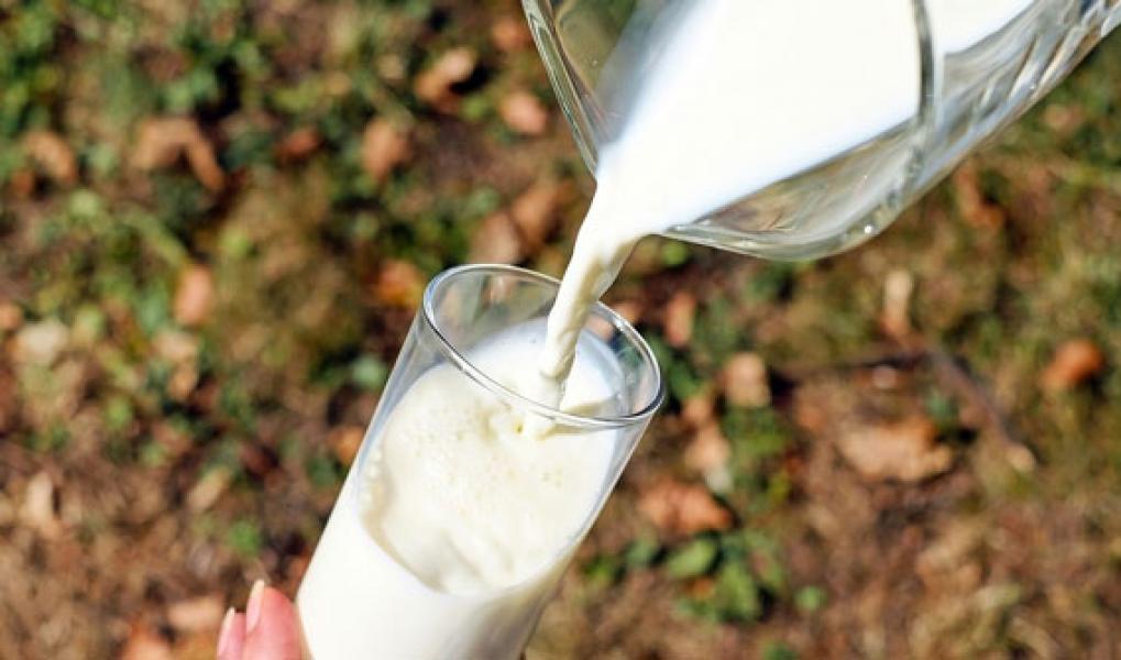 10 Jenis Susu Paling Umum Dikonsumsi, Mana yang Terbaik?