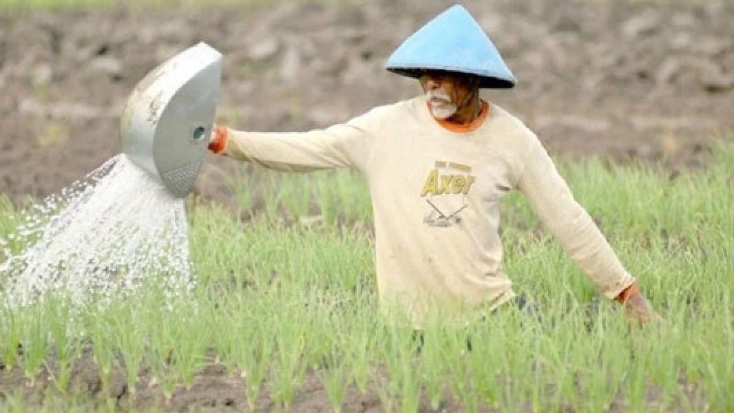 April 2019, Nilai Tukar Petani Kembali Merosot